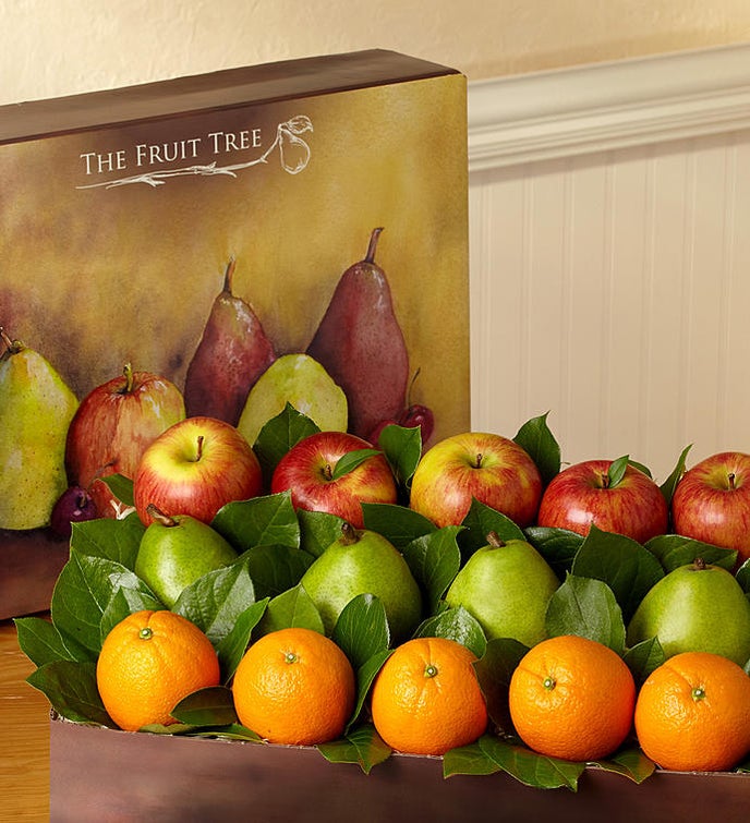 Fresh fruit tree gift